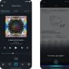Alexa-Nutzer können jetzt auch via iPhone oder iPad mit Alexa kommunizieren