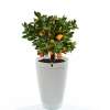 Der Parrot Bot ist der intelligente Blumentopf 2.0