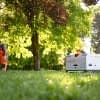 Der Müllroboter entlastet die Profis bei der Parkreinigung