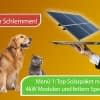 Ein großzügiges Solar Menü gibt's jetzt ganz billig