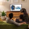 Amazon Fire TV kann über einen Amazon Echo Lautsprecher gesteuert werden - ohne Fire TV-Fernbedienung