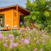 Reihenfolge unserer besten Starkmann greenline test