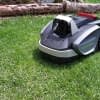 Wir verraten die besten Namen für Rasenroboter!