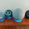 Unsere Alexa Easter Eggs lassen sich mit jedem Echo Gerät abrufen