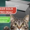 Wow! Ein Deal der sich wirklich lohnt?!