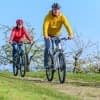E-Bikes im Vergleich: Trekking, Mountain, City und Rennrad – die Unterschiede auf einen Blick.