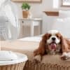 Wir testen und vergleichen Ventilatoren für das Schlafzimmer