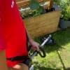 Wir haben den Akku Rasentrimmer Worx WG186E.92 getestet