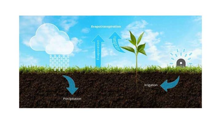 GreenIQ Smart Garden Hub – das Nest für den Garten