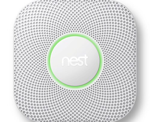 Wie Nest schützt und Versicherungsbeiträge senkt