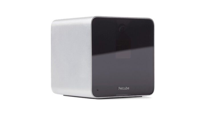 Petcube : Hund und Katz immer ganz nah