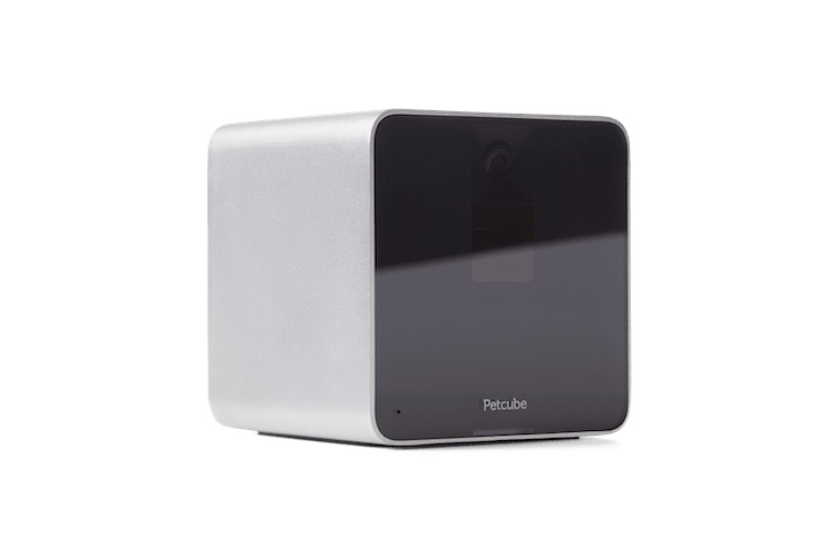 Petcube : Hund und Katz immer ganz nah