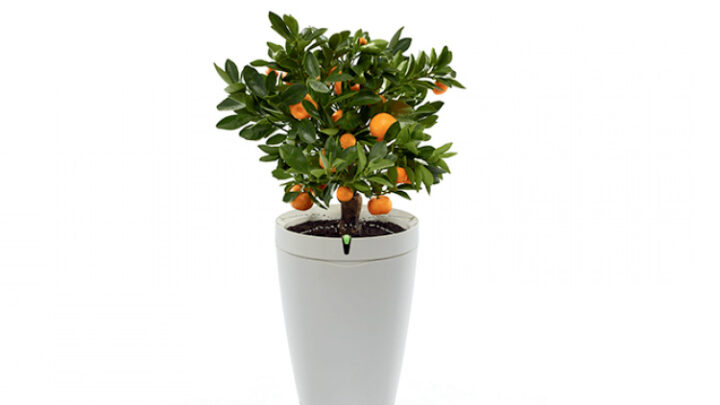 Parrot Pot ist der Blumentopf 2.0