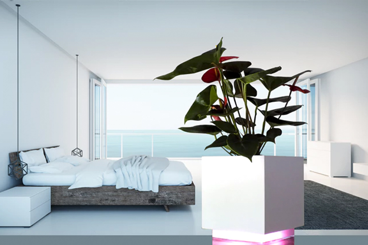 Mindy – Pflanzenpflege in Ihrem Smart Home leicht gemacht