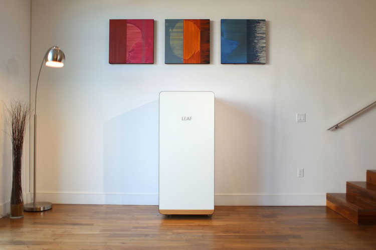 LEAF – automatisierter Gemüseanbau für zu Hause