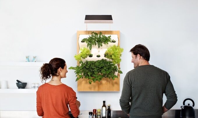 Mit Herbert zum garantierten Ernteerfolg