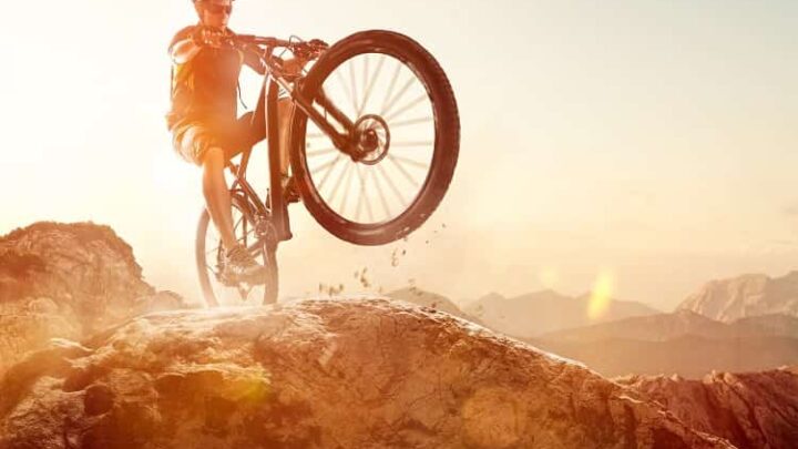 SpeedX Unicorn für moderne Abenteurer