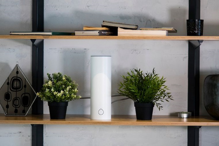 Grovio – der smarte Pflanzenversteher