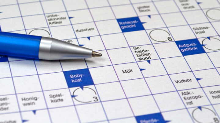 Die spannendsten Alexa Quiz-Skills im Test