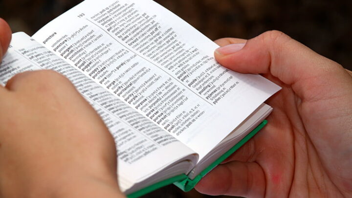 Die beliebtesten Übersetzungs-Skills: Sprachen lernen mit Alexa