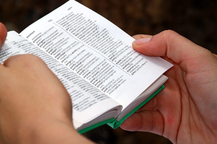 Die beliebtesten Übersetzungs-Skills: Sprachen lernen mit Alexa