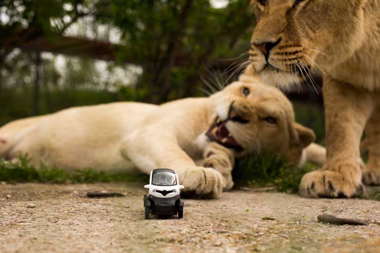 Renault Twizy | Preis & technische Daten im Vergleich