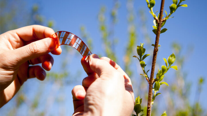 Ribes Tech: Photovoltaik-Module zum Ausdrucken