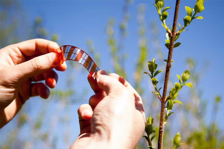 Ribes Tech: Photovoltaik-Module zum Ausdrucken