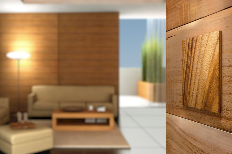 Nicht berühren bitte: Gestengesteuerte Funkschalter von Anigmo