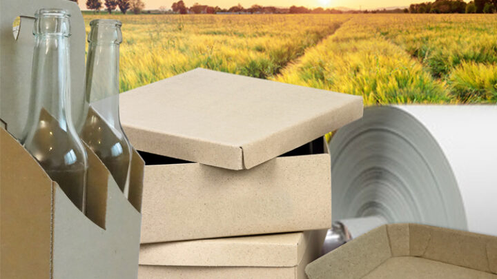 Creapaper macht Papier und Verpackungsmaterial aus Gras