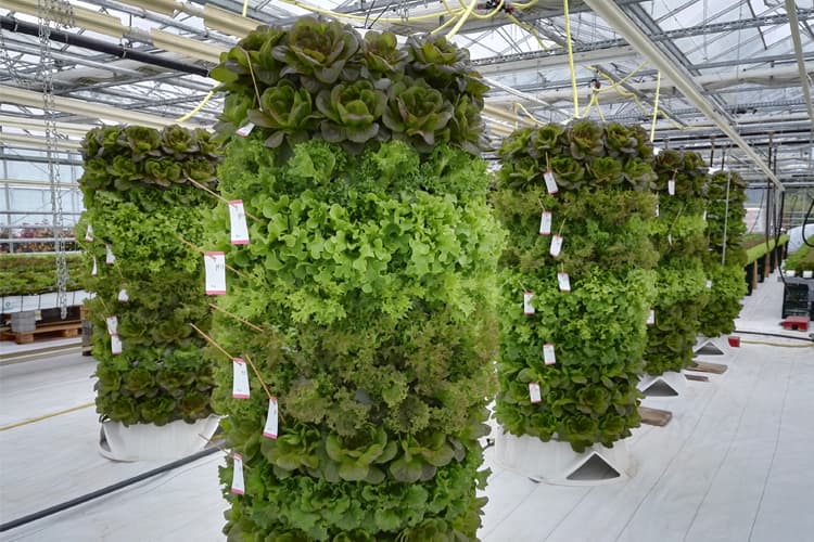 aponix macht erdlose, vertikale Pflanzsysteme für Großstädter