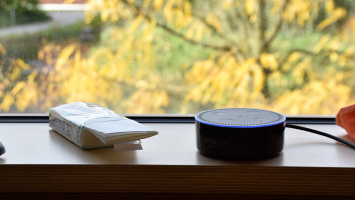 Alexa Skill Biowetter warnt vor Pollen, Feinstaub und UV-Strahlen