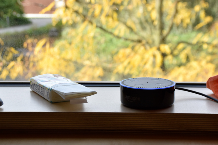 Alexa Skill Biowetter warnt vor Pollen, Feinstaub und UV-Strahlen
