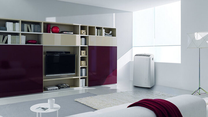 DeLonghi Pinguino PAC N81 Klimagerät im Test-Überblick