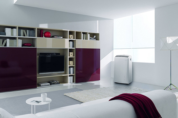 DeLonghi Pinguino PAC N81 Klimagerät im Test-Überblick