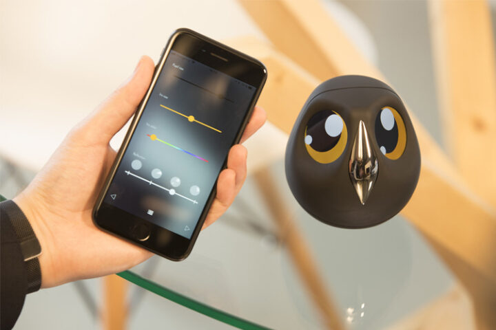 Ulo Sicherheitskamera: diskrete Überwachung im Eulendesign