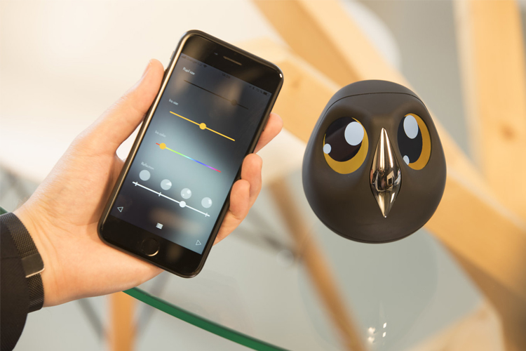 Ulo Sicherheitskamera: diskrete Überwachung im Eulendesign