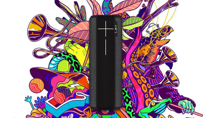 UE BOOM 2 Bluetooth-Lautsprecher im Test-Überblick