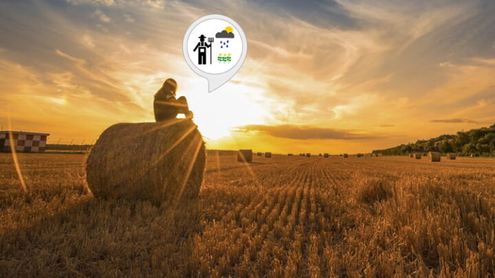 Bauernregel Alexa Skill: Bauernweisheiten für jede Lebenslage