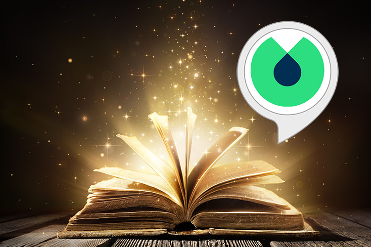 Blinkist Minute Alexa Skill liefert tägliche Wissenshäppchen