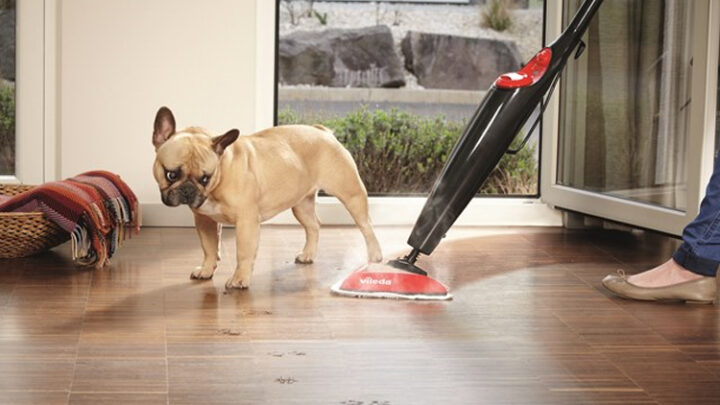 Vileda Steam Dampfreiniger Test-Vergleich: Ausstattung & Preise
