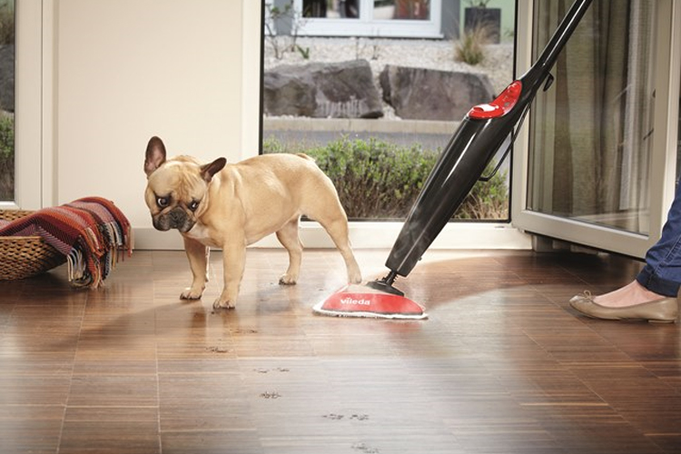 Vileda Steam Dampfreiniger Test-Vergleich: Ausstattung & Preise