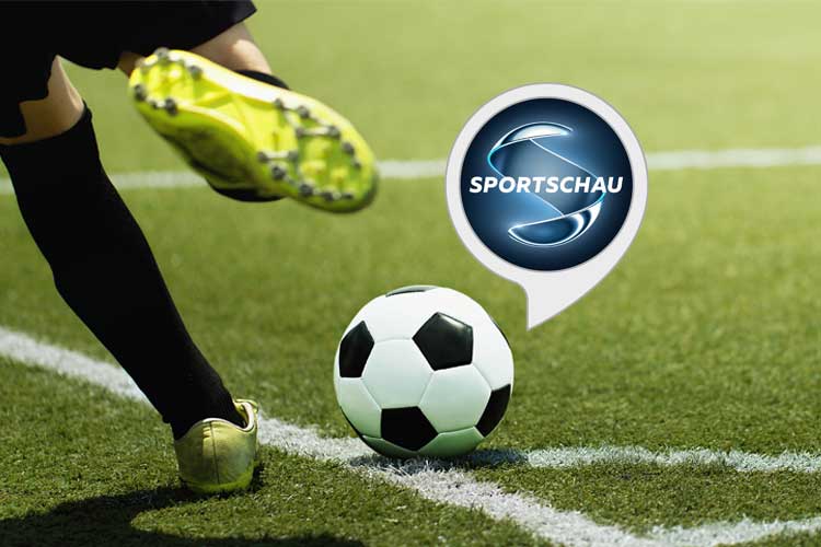 Sportschau in 100 Sekunden Skill: Spielkommentar nach Abpfiff