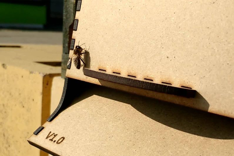 apic.ai – mit künstlicher Intelligenz gegen das Bienensterben