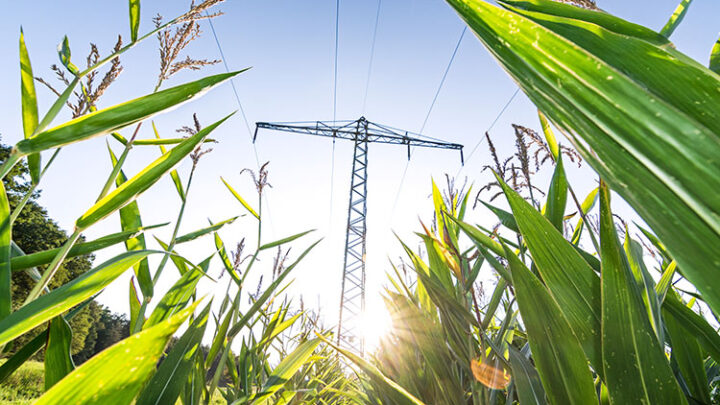 4hundred – digitaler Energieanbieter mit innovativem Tarifmodell