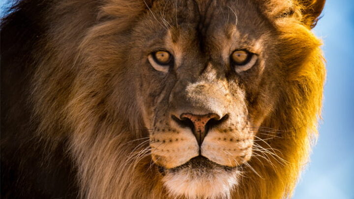 Die Höhle der Löwen: Diese 7 Produkte sind schon jetzt Bestseller