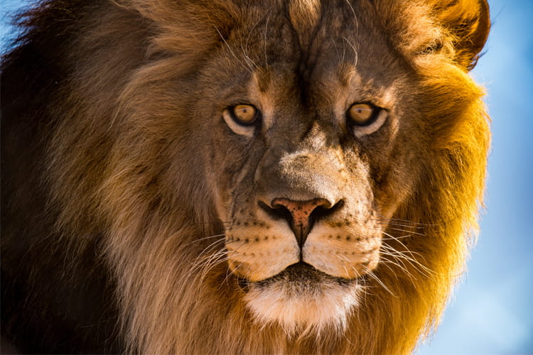 Die Höhle der Löwen: Diese 7 Produkte sind schon jetzt Bestseller