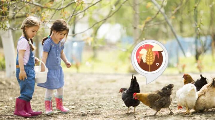 Kinder besuchen den Bauernhof Alexa Skill: Spielen & Lernen