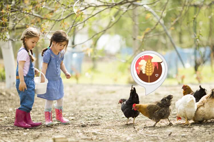 Kinder besuchen den Bauernhof Alexa Skill: Spielen & Lernen