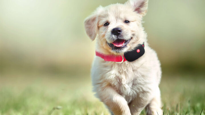 Yepzon – Alles andere als verpeilt